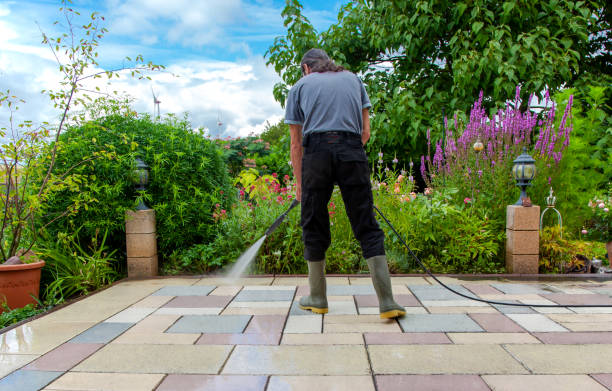 Best Spring Cleaning  in Wchester, IN